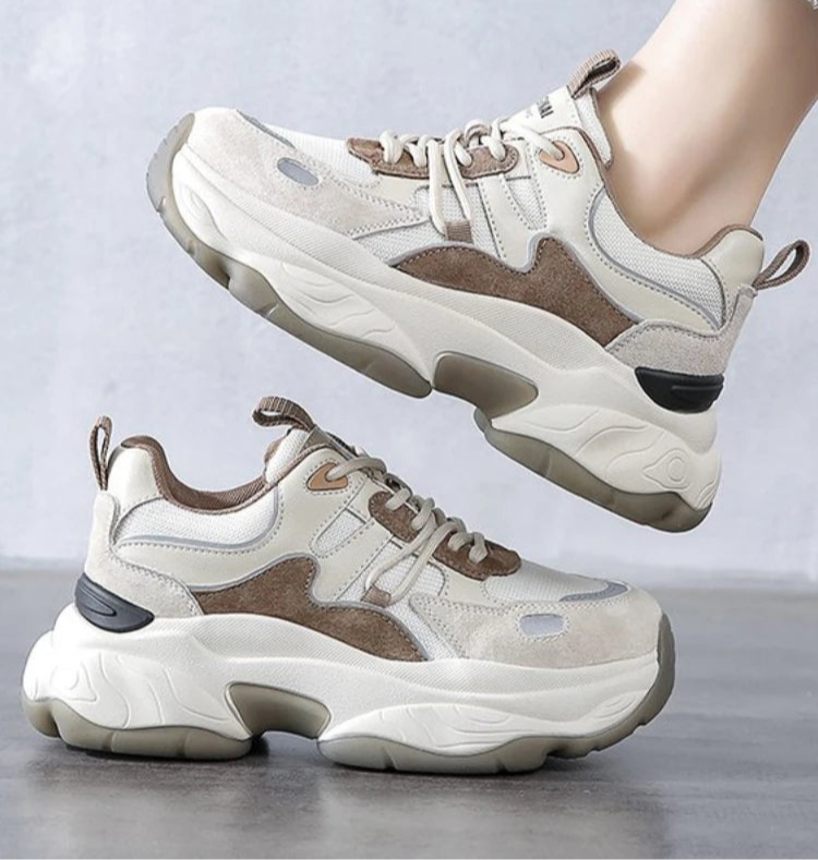 ๐ ื ืขืื ืืืืื ืื ืฉืื โ ืืื Elevรฉ