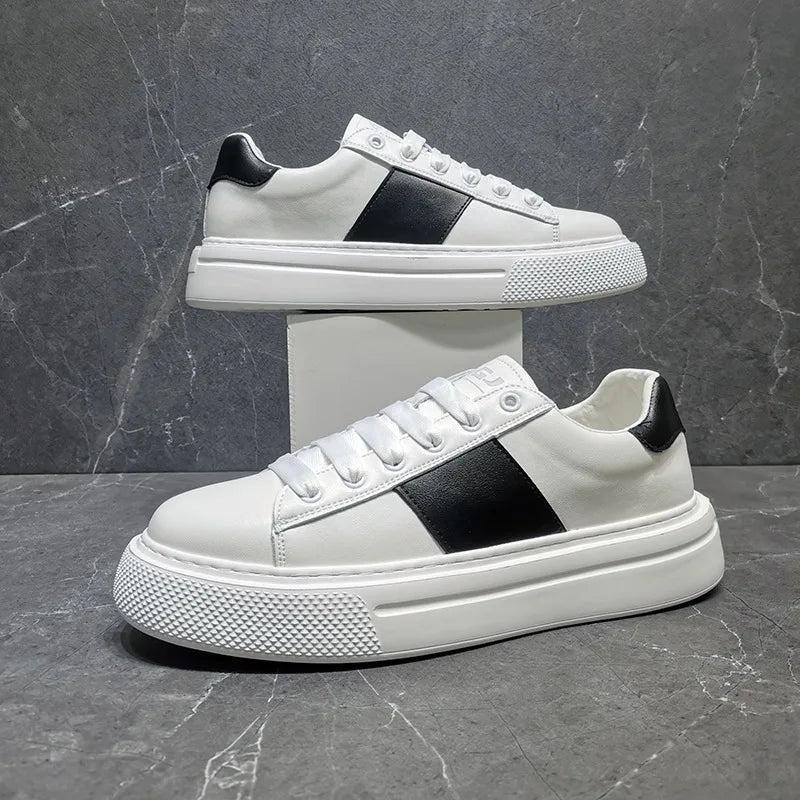 STEPUP SHOES | נעלי סניקרס מגביהות דגם Torino | נעליים מגביהות