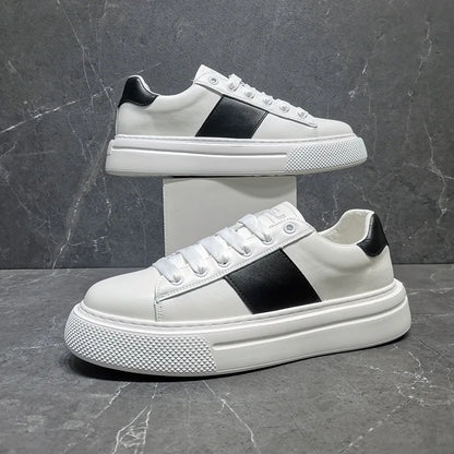 STEPUP SHOES | נעלי סניקרס מגביהות דגם Torino | נעליים מגביהות