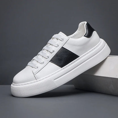 STEPUP SHOES | נעלי סניקרס מגביהות דגם Torino | נעליים מגביהות
