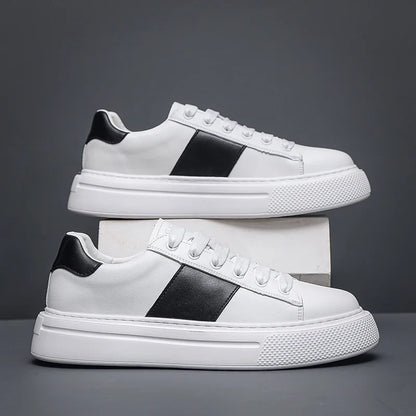 STEPUP SHOES | נעלי סניקרס מגביהות דגם Torino | נעליים מגביהות